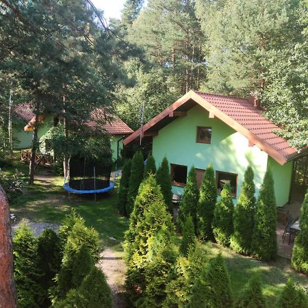 Willa niezapominajka-jura Niegowa Zewnętrze zdjęcie