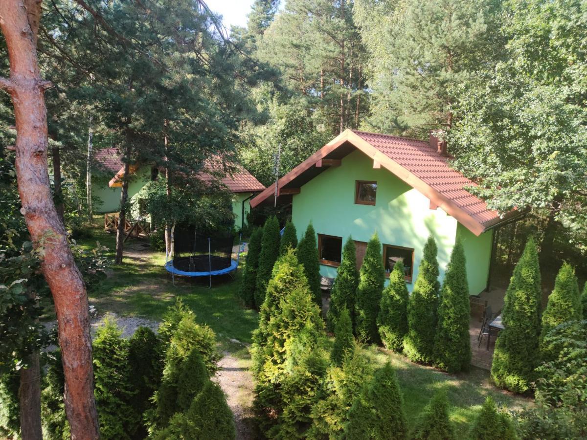 Willa niezapominajka-jura Niegowa Zewnętrze zdjęcie